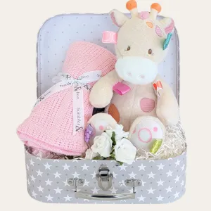 Baby Girl Gifts Hamper Colours Of Sherbert Taggie Giraffe